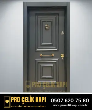 Beşiktaş Çelik Kapı - Plus 17