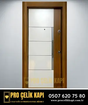 Beşiktaş Çelik Kapı - Plus 5